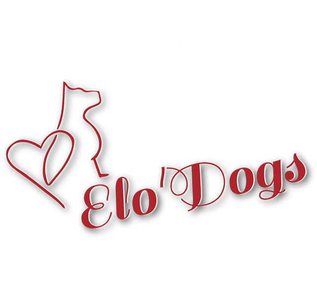 logo-elo-dogs