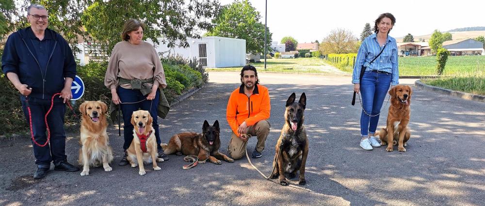 dressage-chiens-elo-dogs